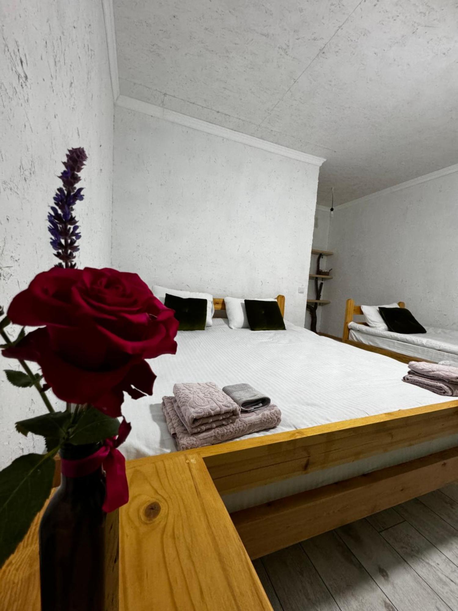 Eco Village Lodge Dzhetyoguz Dış mekan fotoğraf